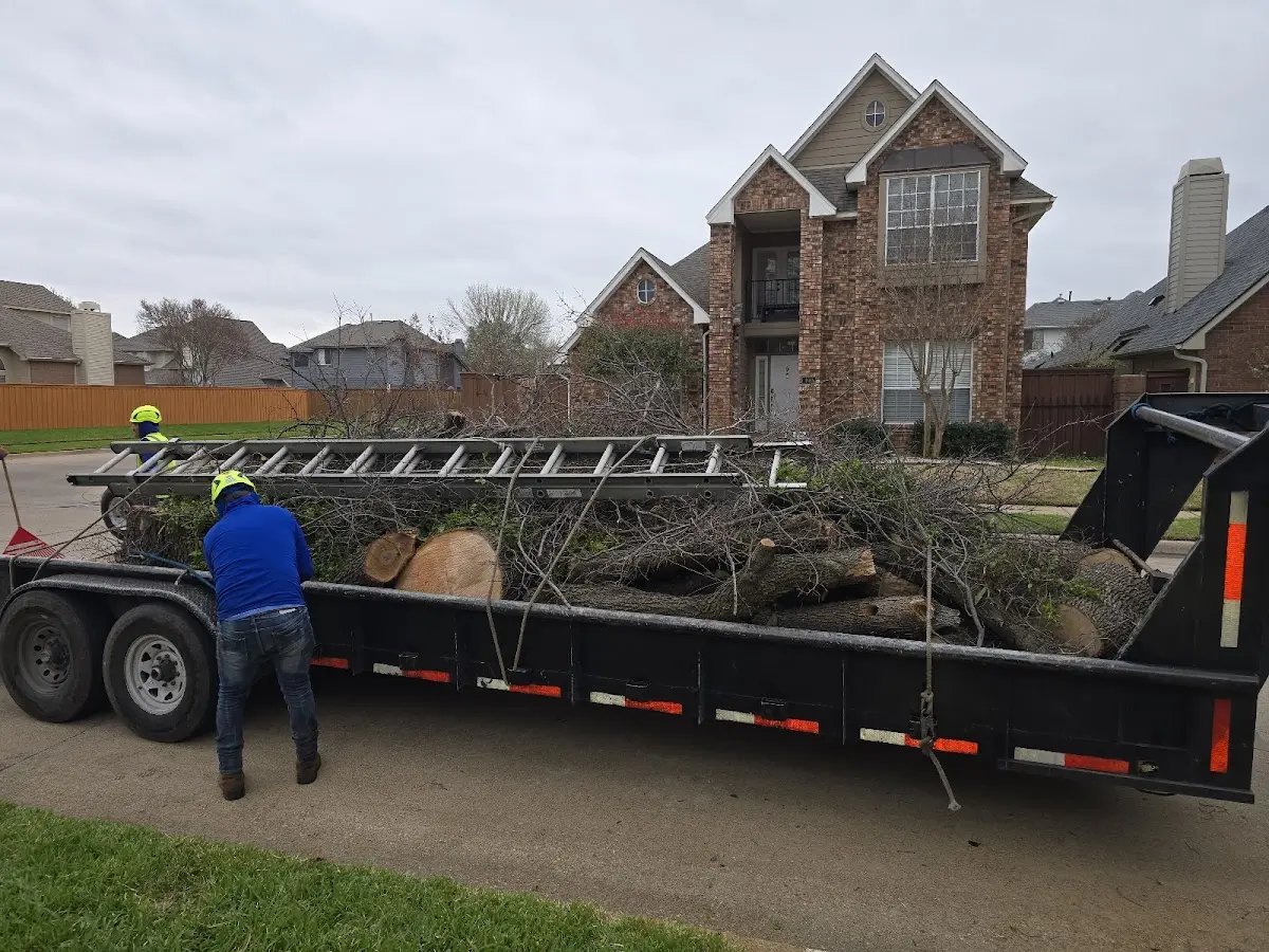 Expert Tree Pest Control with proper safety equipment in Oneill